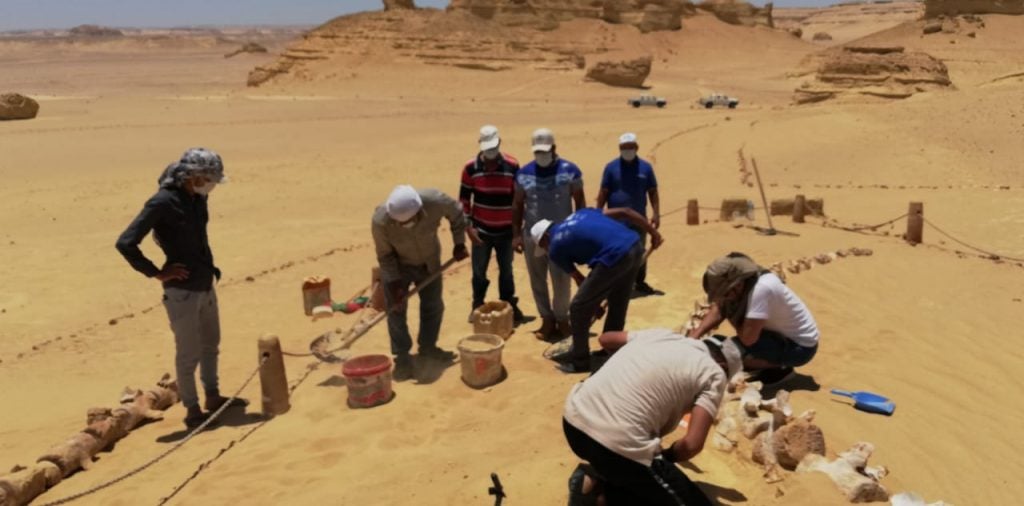 «البيئة»: ترميم المتحف المفتوح بوادي الحيتان وجبل قطراني لحماية موارد مصر الطبيعية