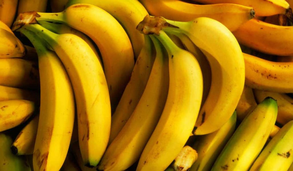 المؤسسة الوطنية الأمريكية تصنف الموز بديلا للعقاقير المنومة