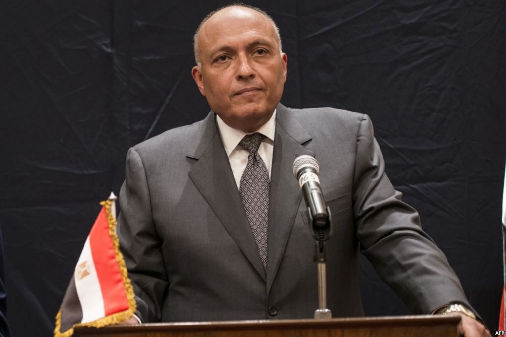 وزير الخارجية عن «سد النهضة»: لا مجال للاعتقاد الخاطئ بإمكانية فرض الأمر الواقع