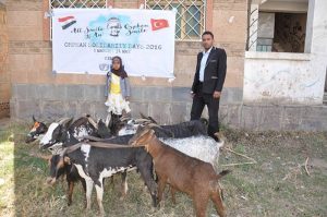«شينخوا» : مربو الماشية باليمن يعانون الركود بسبب الحرب رغم حلول عيد الأضحى
