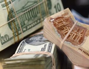 سعرالدولار يفقد 4.8 قرش أمام الجنيه خلال تعاملات الأسبوع الماضي