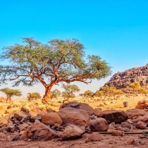 وزيرة البيئة : طرح مراكز الزوار بمحميات جنوب سيناء وأسوان للتطوير أمام القطاع الخاص