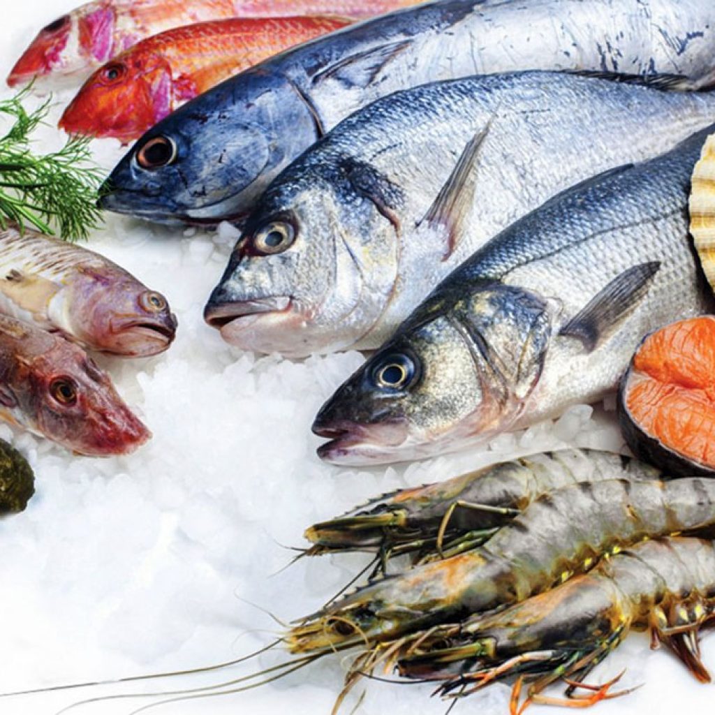 أسعار السمك اليوم 1-8-2021 فى مصر