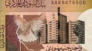 مسؤولة في بنك السودان المركزي: تغيير العملة يحتاج إلى 600 مليون دولار