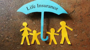 شركات تأمين الحياة تُسدد 761 مليون جنيه مطالبات شهريًا (جراف)