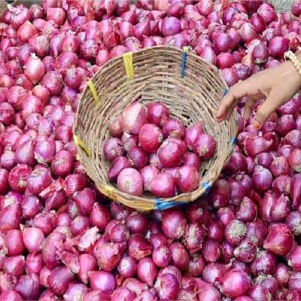 الزراعة : صادرات البصل تلامس حاجز الـ 90 ألف طن