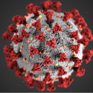 الصين تكتشف فيروس كورونا على مثلجات الآيس كريم بمكونات مستوردة