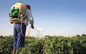الزراعة : ضبط 25 ألف عبوة مبيدات غير مسموح بتداولها في الأسواق خلال شهر أبريل