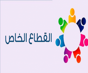 القطاع الخاص يستحوذ علي 68.8% من أقساط التأمين المُحصلة في 2020 و61.3% خلال ديسمبر (جراف)