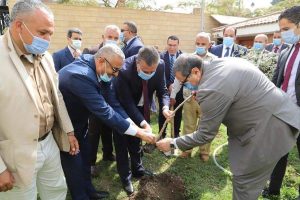 وزير القوى العاملة ومحافظ المنوفية يزرعان 1500 شجرة زيتون ضمن مبادرة «هنجملها»