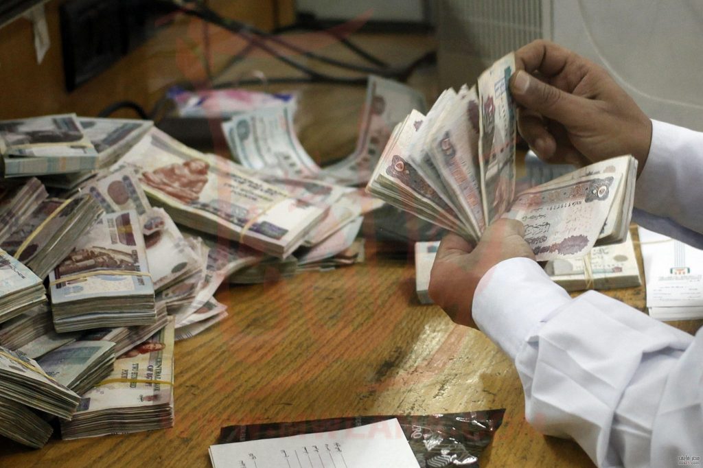 «إكسبينسيفيتي»: كي تشعر بالسعادة .. 41.4 ألف جنيه الدخل الأنسب شهريا في مصر (فيديو)
