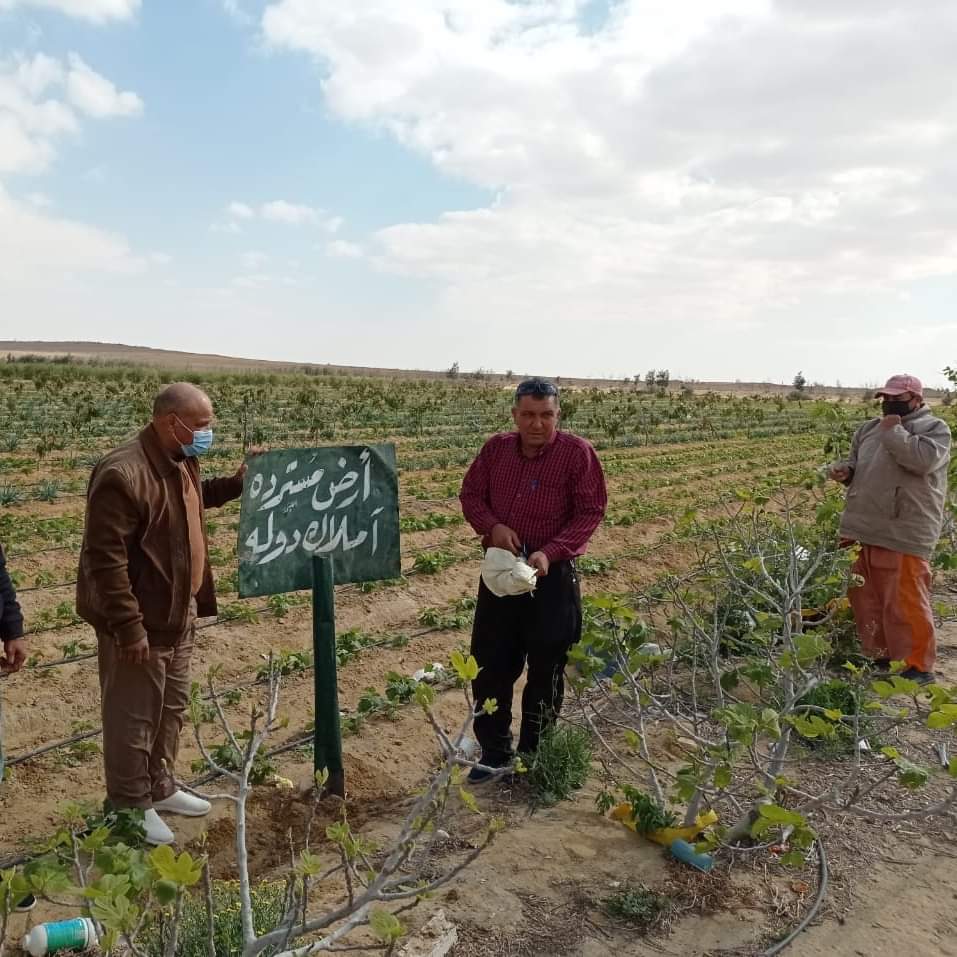 استرداد وحجز إداري لقطعتي أرض بمساحة 142 فدانًا من غير الجادين بوادي النطرون