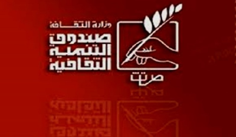 أبرزها «رحلة مع أسبلة القاهرة» و«قصر محمد علي».. الأعمال التاريخية والتراثية في صدارة مشاركة التنمية الثقافية بمعرض الكتاب