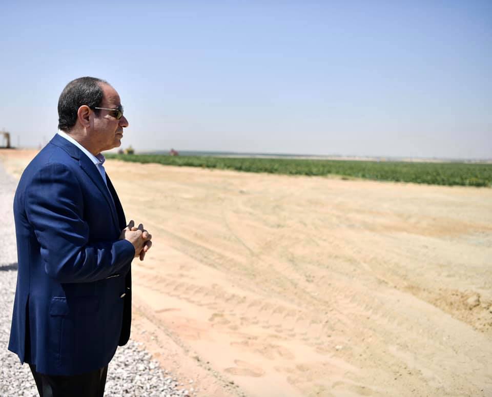 «زراعة 500 ألف فدان».. السيسي يتفقد مشروع مستقبل مصر بمناسبة موسم الحصاد (صور)