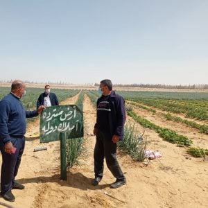 استرداد 169 فدانًا من المستثمرين غير الجادين بوادى النطرون