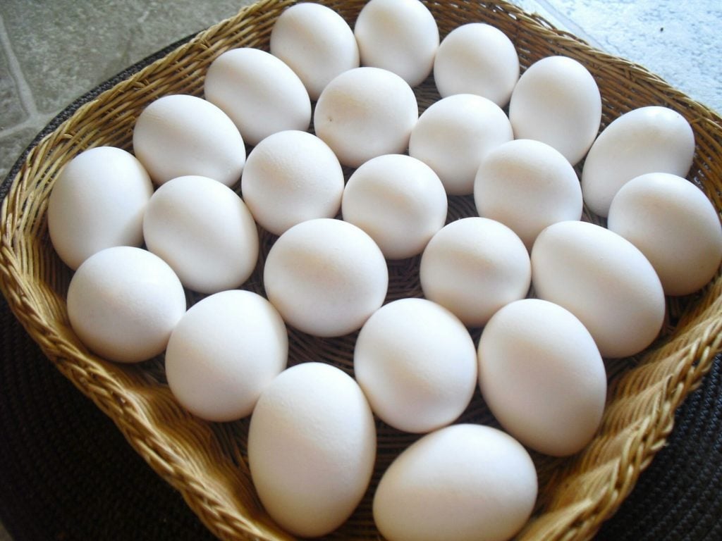 سعر كرتونة البيض اليوم 4/1/2023 للمستهلك في السوق المحلية