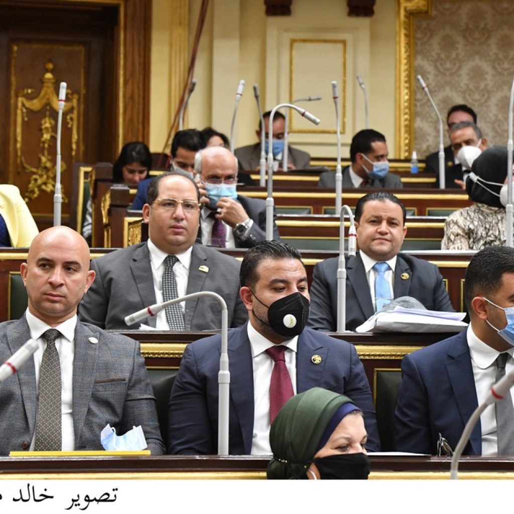 «زراعة البرلمان» توصي بتشكيل لجنة من الضرائب العقارية لدراسة مقابل انتفاع أرض ترعة السلام
