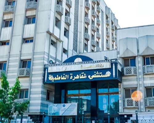 مع توصية بزيادتها.. تعرف على عدد المستشفيات في القاهرة نهاية 2020 (جراف)