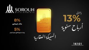 «الرقابة المالية» تنهى أزمة وقف إعلان السبيكة العقارية لشركة «صروح»