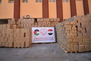 حملة صندوق تحيا مصر لدعم غزة تلقى تفاعلا كبيرا من رواد «السوشيال ميديا»