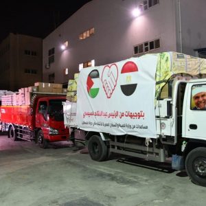 بإجمالي 9507 أطنان.. وزيرة التضامن تستعرض حجم مساعدات الهلال الأحمر المصري لغزة