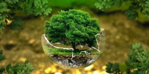 إيهاب شلبي : علينا استغلال مؤتمر المناخ والدعوة لطرح سندات خضراء بقيمة تريليون دولار لدعم القضايا البيئية