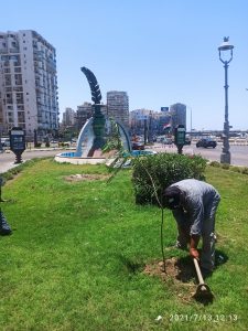 محافظ الإسكندرية يرفع كفاءة الحدائق والمسطحات الخضراء استعدادا لعيد الأضحى
