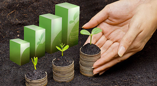 البنك المركزي يُبرز أهم المعايير الدولية لتطبيق «التمويل المستدام»