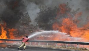ارتفاع قتلى حرائق الغابات جنوب تركيا إلى ثمانية أشخاص