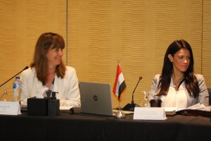 رانيا المشاط ترأس جولة المشاورات الختامية لإعداد استراتيجية التعاون القطرية مع البنك الأوروبي