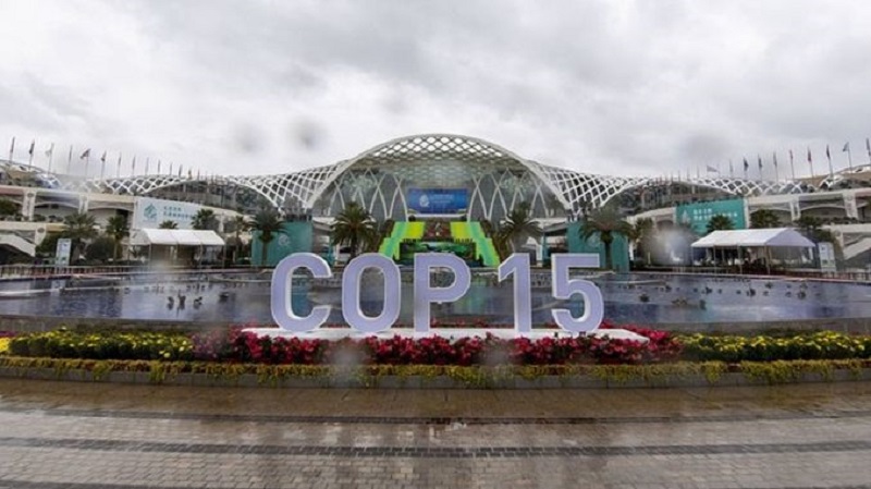 خبير بيئي: مؤتمر الأمم المتحدة COP15 سيخلق أطرا سياسية صحيحة لبرامج الحفاظ على التنوع البيولوجي