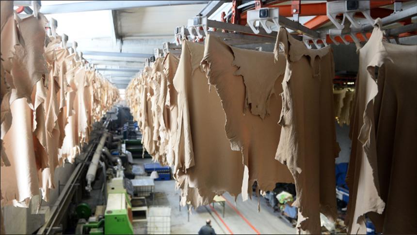 صناعة الجلود تنظم ندوة لتأهيل شركات الأحذية والمنتجات للتصدير