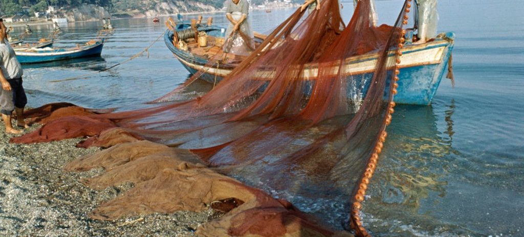 25 منظمة عالمية تعلن رفضها للصيد «الجائر» وغير المنظم