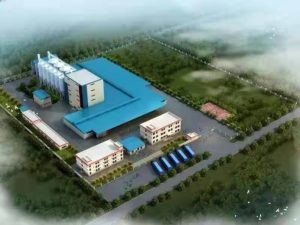 «جينغ بانغ» الصينية تستعد لإنشاء مصنع أعلاف بتكلفة 20 مليون دولار