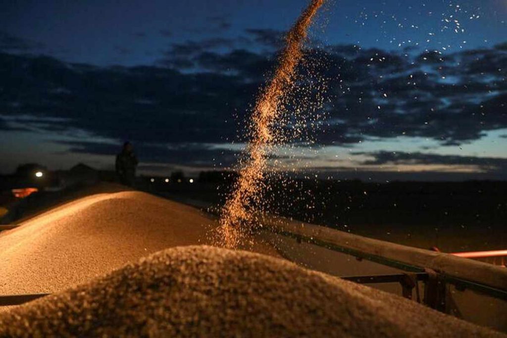 رئيس شركة Golden Grain للعربية: أسعار القمح ستعاود الصعود مجددا