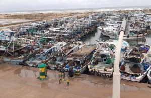 توقف حركة الملاحة البحرية والصيد في كفر الشيخ بسبب الطقس السيئ