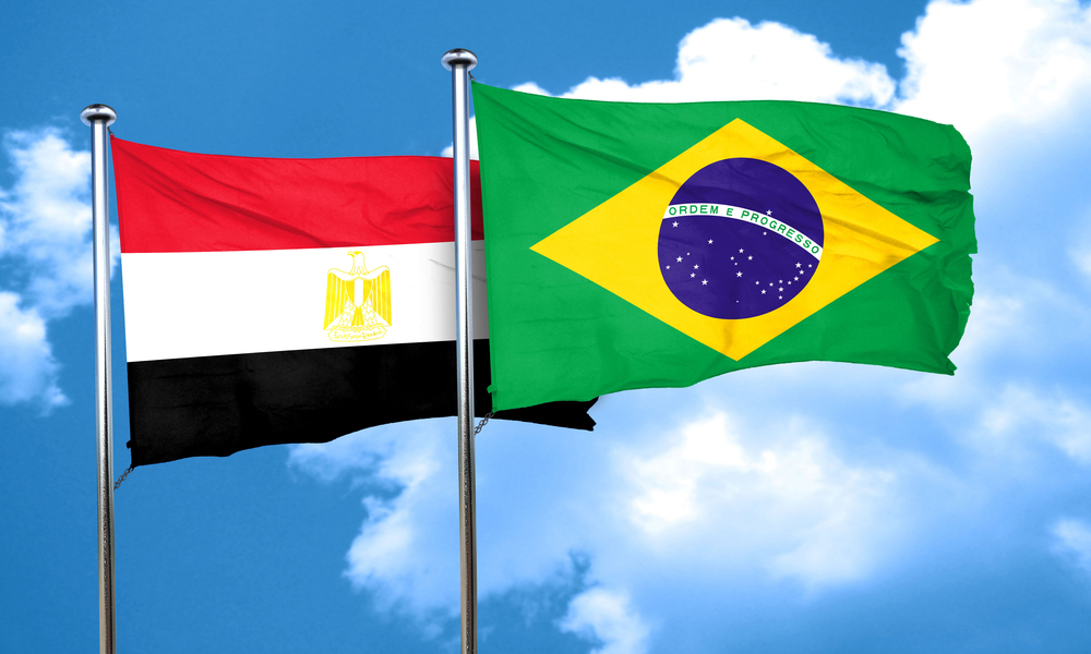 زادت بنسبة 155.4% .. مصر تصدر منتجات للبرازيل بقيمة 542 خلال عام 2021