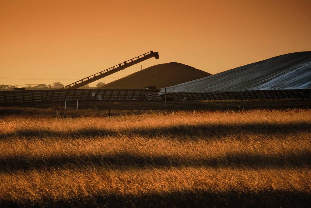 أسعار القمح والذرة والزيت تقفز إثر تصاعد التوتر الروسي الأوكراني