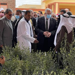 وزير الزراعة: 750 مليار جنيه حجم الإنفاق على تنمية سيناء حتى الآن