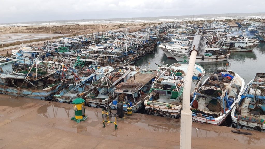 شعبة الأسماك بالإسكندرية: تراجع الإنتاجية دفع سفن الصيد للبحث عن سواحل أخرى