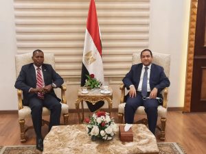 رئيس «التنظيم والإدارة» يستقبل وزير الخدمة العامة بجنوب السودان