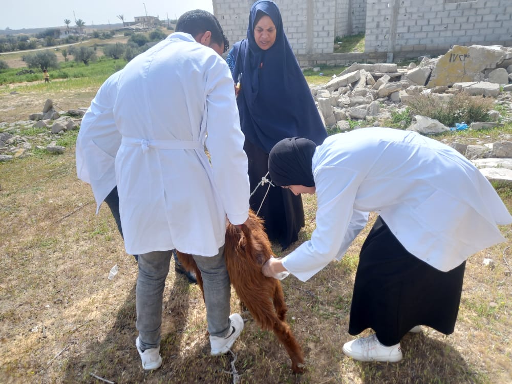 «الزراعة» تنشر حصاد نشاطها الأسبوعي (إنفوجراف)