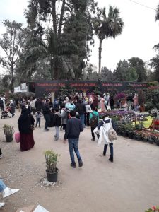 240 عارضا يشاركون فى معرض «الزهور2022» بحديقة الأورمان