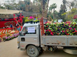 الزراعة توزع 7000 وردة مجانا على السيدات في عيد الأم بمعرض الزهور