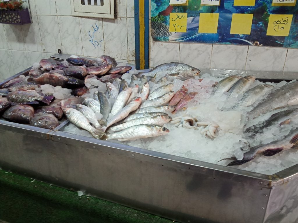 أسعار السمك اليوم 26-5-2023 فى مصر