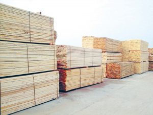 محسن التاجوري: 20% زيادة في ثمن الأخشاب بسبب ارتفاع سعر الدولار اليوم