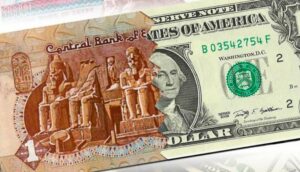 شعبة المستوردين : رفع الدولار الجمركي يزيد من أسعار السلع المستوردة