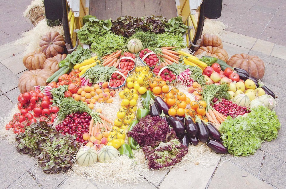 «تصديرى الحاصلات الزراعية» يطلق خطة للاعتماد على الأسمدة الحيوية بدلا من الكيماوية