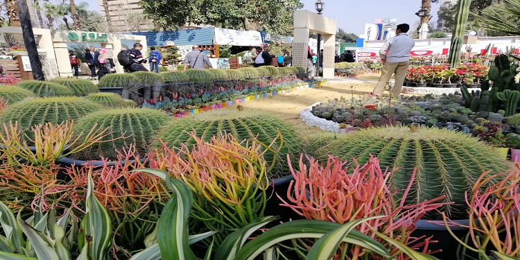 شينخوا : أكبر وأقدم معرض لنباتات الزينة بمصر يجذب العديد من العارضين ومحبي النباتات