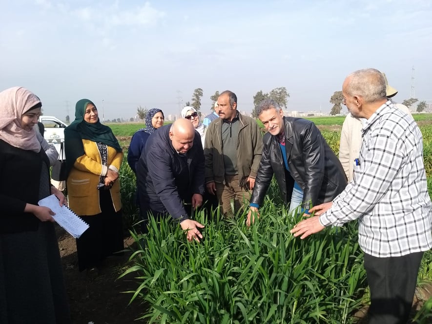 «أبوالسعود» يفوز بجائزة مؤسسة شومان للباحثين العرب في مجال الزراعة بدون تربة